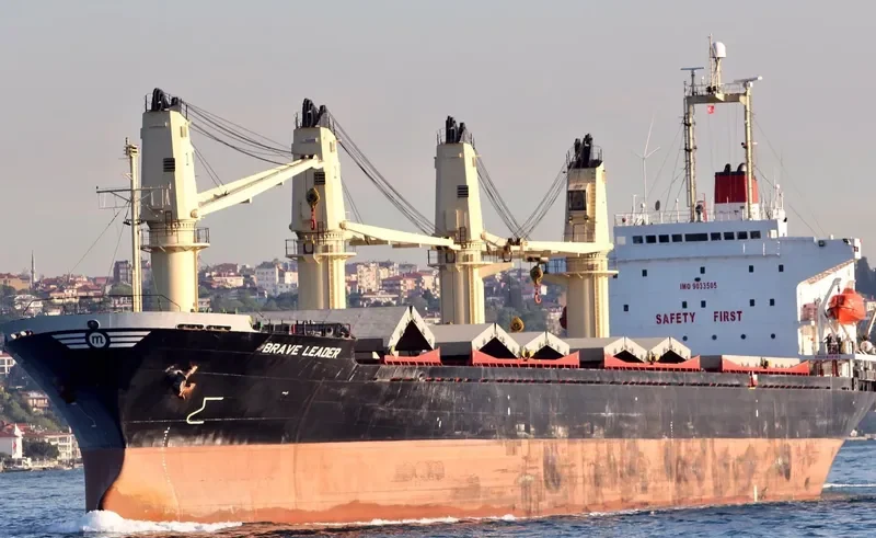 BRAVE LEADER Bulk Carrier IMO 9033505 photo 2