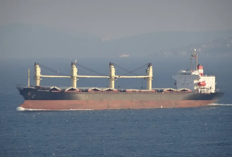 BRAVE LEADER Bulk Carrier IMO 9033505 photo 3