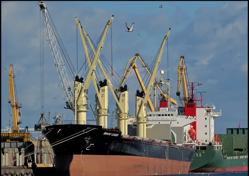 BRAVE LEADER Bulk Carrier IMO 9033505 photo 5