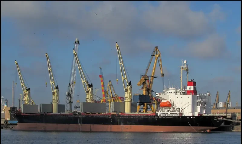 BRAVE LEADER Bulk Carrier IMO 9033505 photo 7