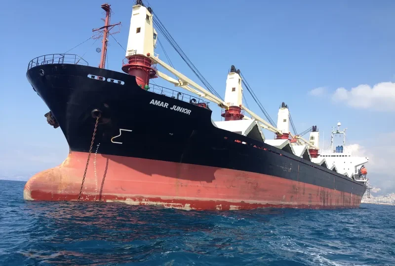 BRAVE LEADER Bulk Carrier IMO 9033505 photo 9
