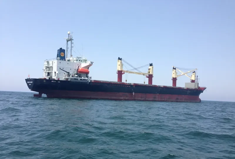 BRAVE LEADER Bulk Carrier IMO 9033505 photo 10