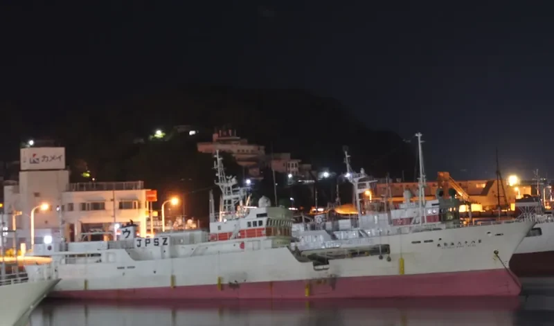 KAIGATA MARU NO.86 General Cargo IMO 9033610 photo 4