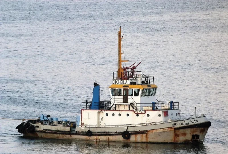 DEKHEILA 1 General Cargo IMO 9033684 photo 5