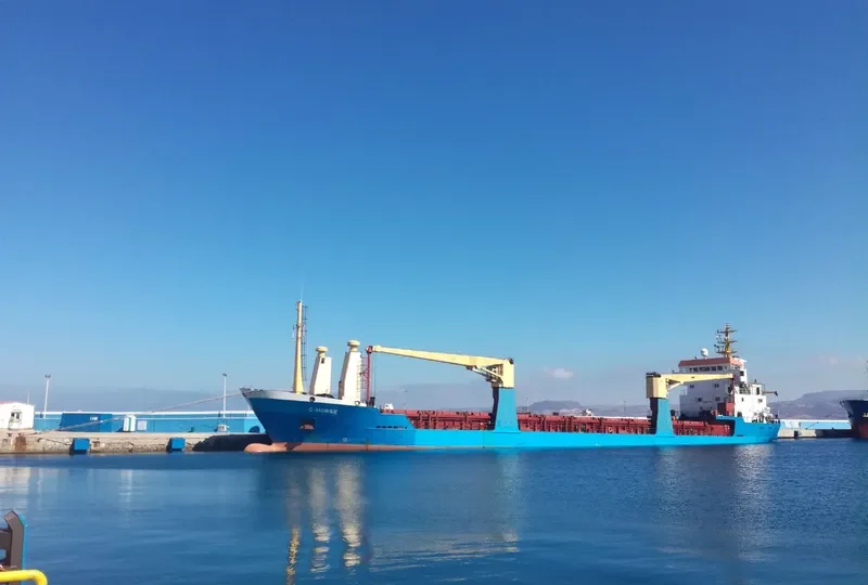 C HORSE General Cargo IMO 9033701