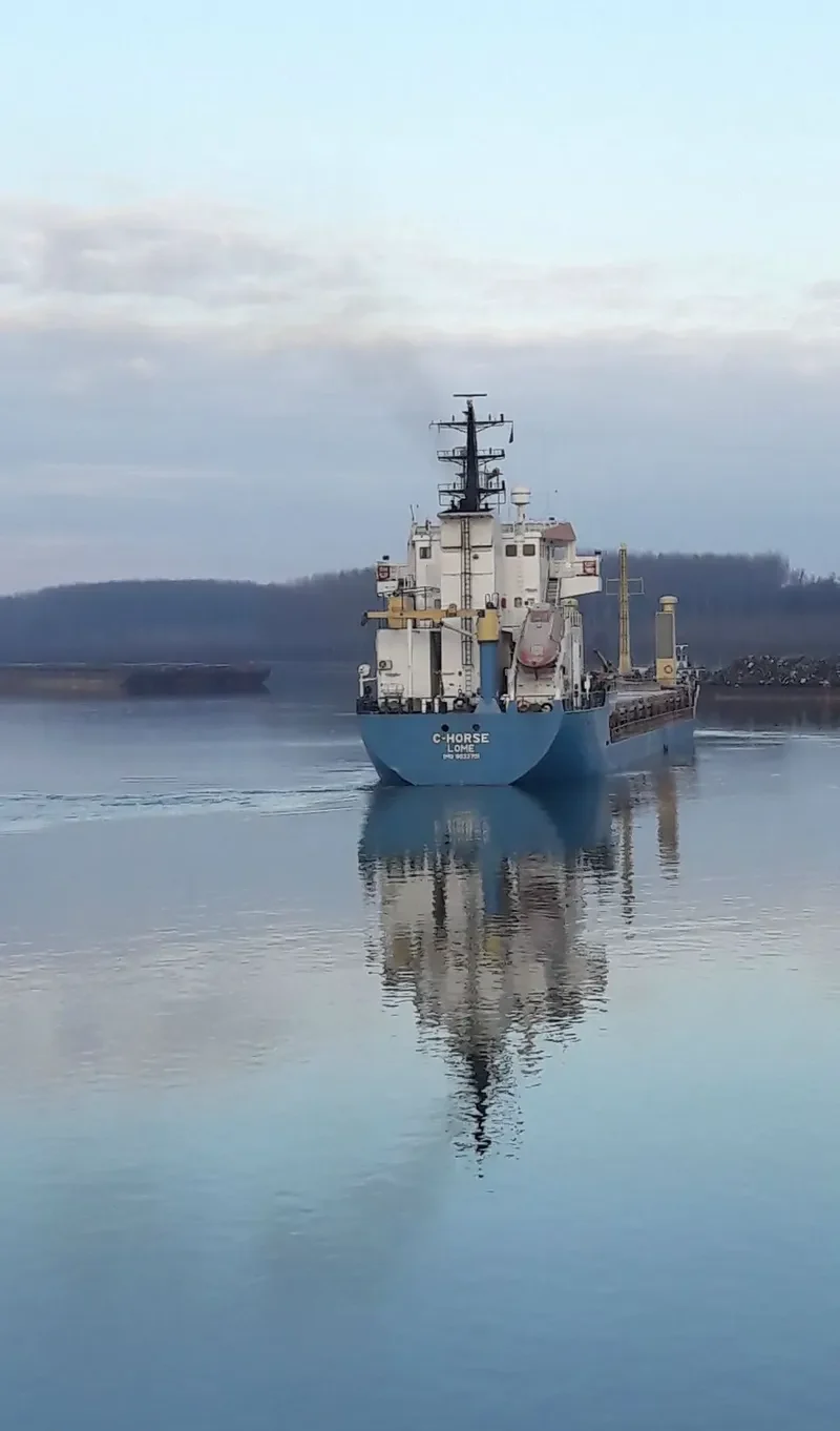 C HORSE General Cargo IMO 9033701 photo 7