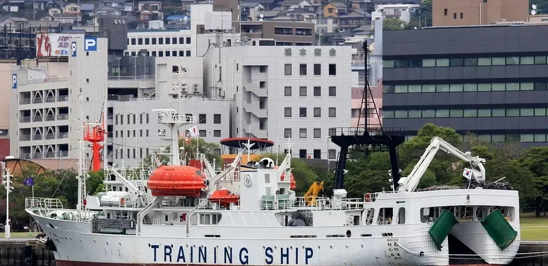 ARA General Cargo IMO 9033816