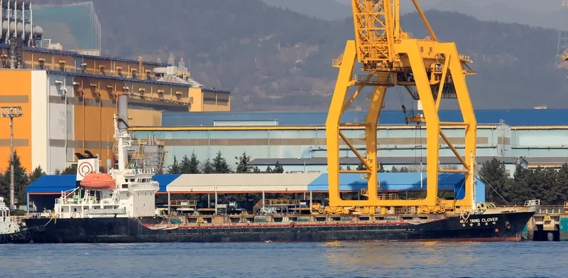 WOOYANG CLOVER General Cargo IMO 9033830
