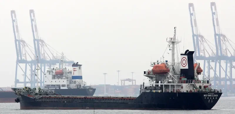 WOOYANG CLOVER General Cargo IMO 9033830 photo 2
