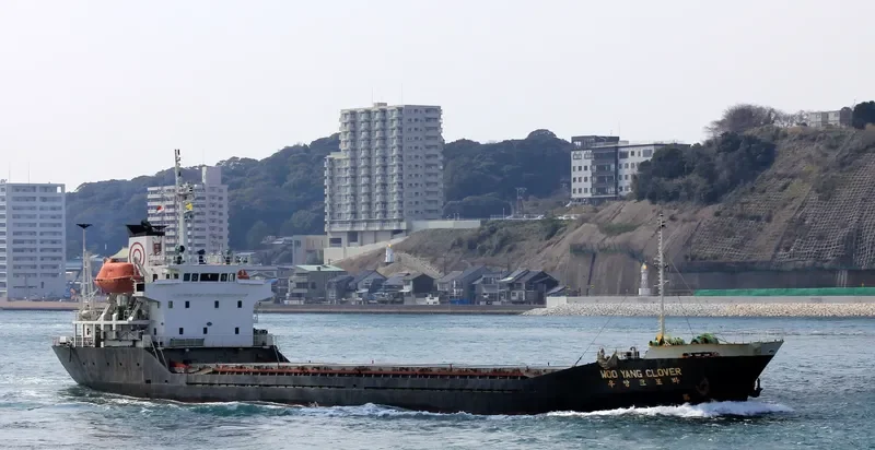 WOOYANG CLOVER General Cargo IMO 9033830 photo 7