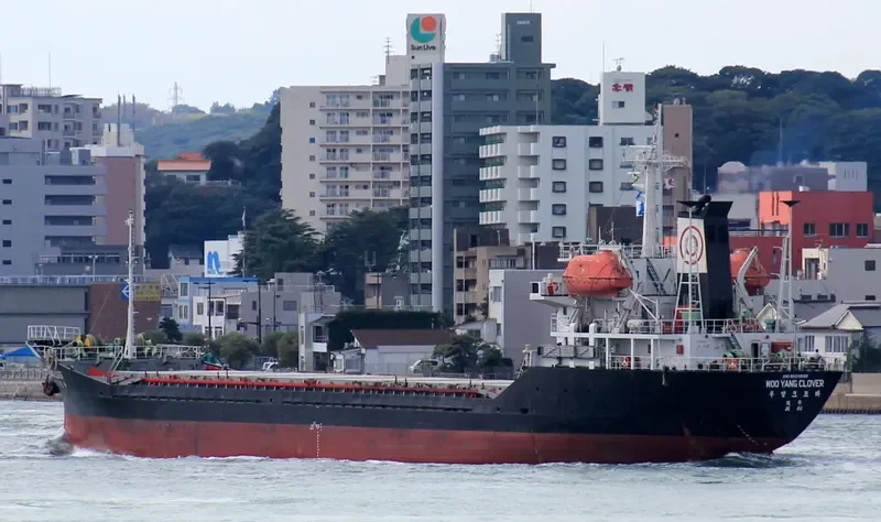 WOOYANG CLOVER General Cargo IMO 9033830 photo 9