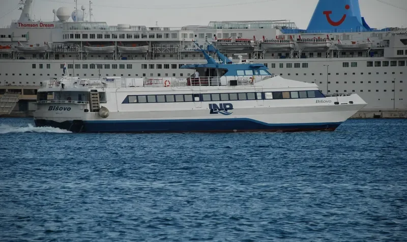 BISOVO Passenger Ship IMO 9034195 photo 3