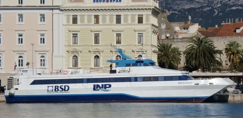 BISOVO Passenger Ship IMO 9034195 photo 6