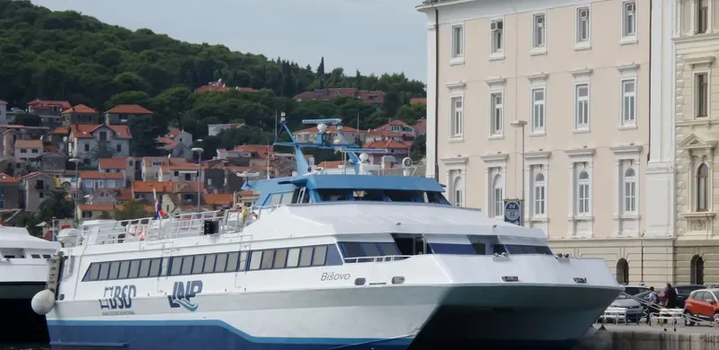 BISOVO Passenger Ship IMO 9034195 photo 8