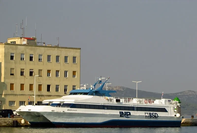 BISOVO Passenger Ship IMO 9034195 photo 10
