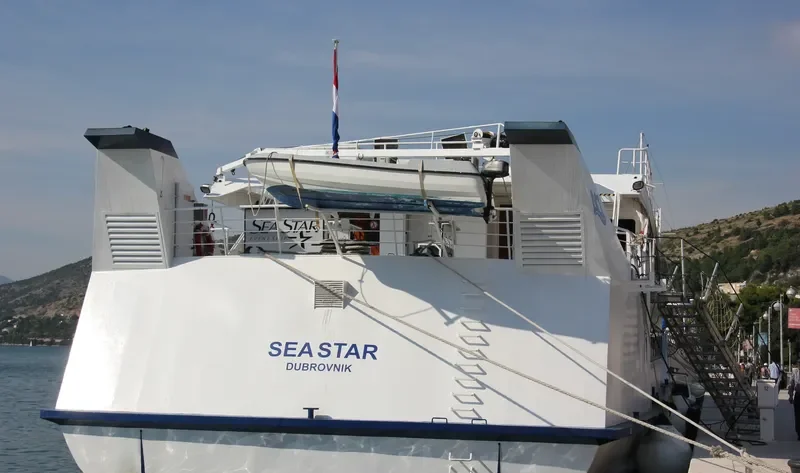 SEA STAR Passenger Ship IMO 9034286 photo 2