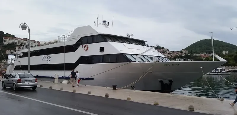 SEA STAR Passenger Ship IMO 9034286 photo 4