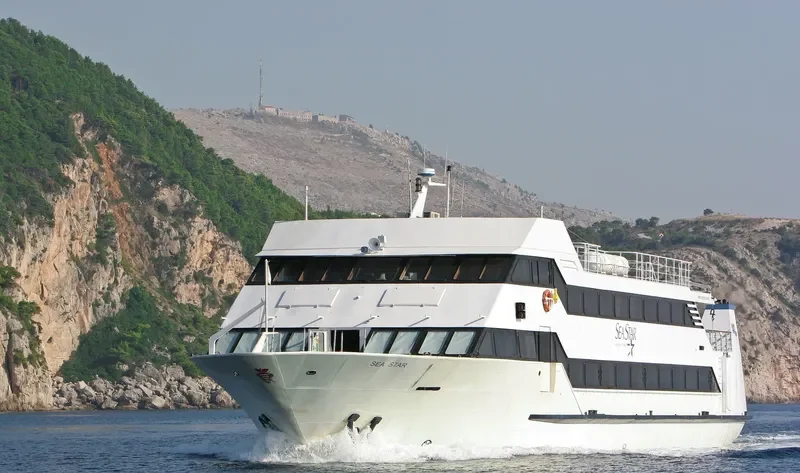 SEA STAR Passenger Ship IMO 9034286 photo 6
