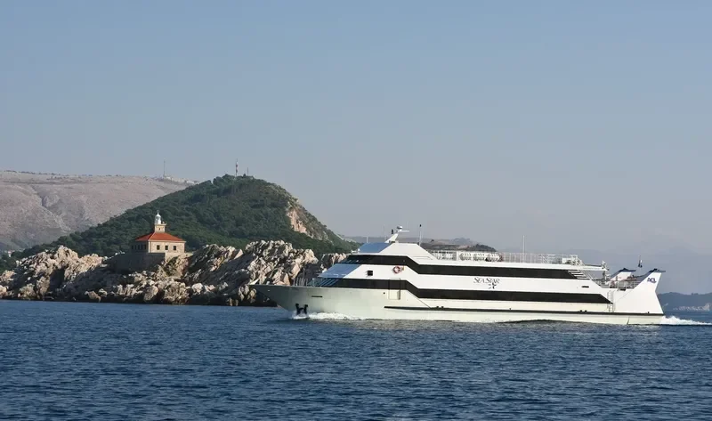 SEA STAR Passenger Ship IMO 9034286 photo 7