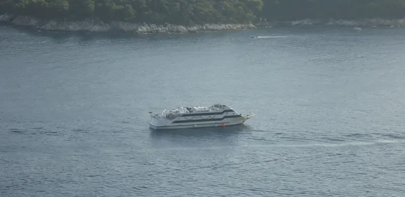 SEA STAR Passenger Ship IMO 9034286 photo 10