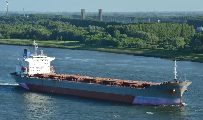 GLOBAL TRADER 1 Bulk Carrier IMO 9034327 photo 2