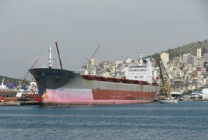 GLOBAL TRADER 1 Bulk Carrier IMO 9034327 photo 3