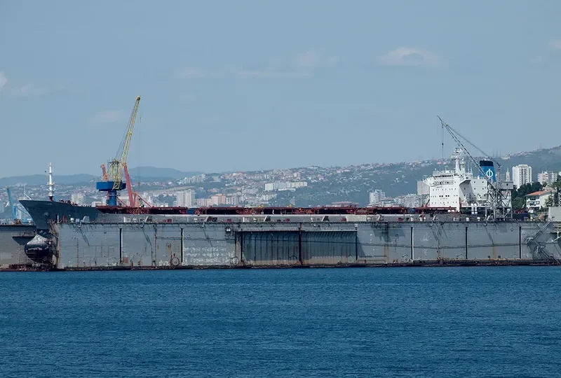 GLOBAL TRADER 1 Bulk Carrier IMO 9034327 photo 5