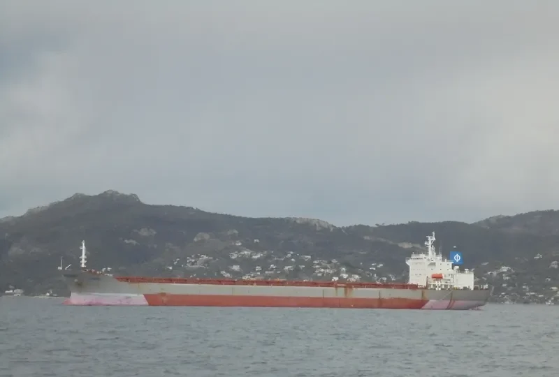 GLOBAL TRADER 1 Bulk Carrier IMO 9034327 photo 6