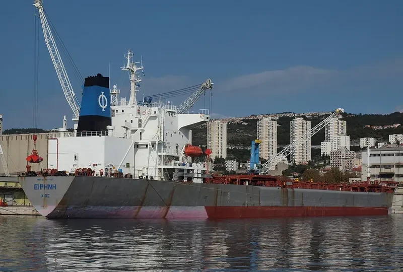 GLOBAL TRADER 1 Bulk Carrier IMO 9034327 photo 8