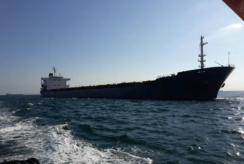 DESPINA Bulk Carrier IMO 9034339