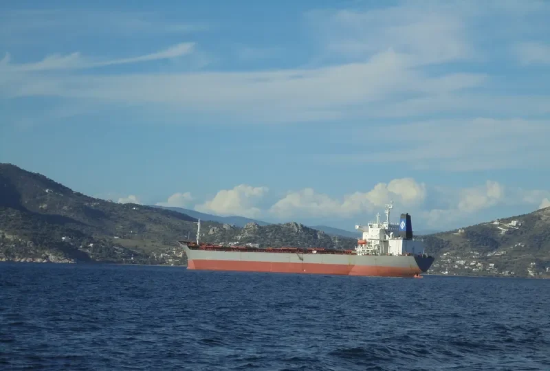 DESPINA Bulk Carrier IMO 9034339 photo 2