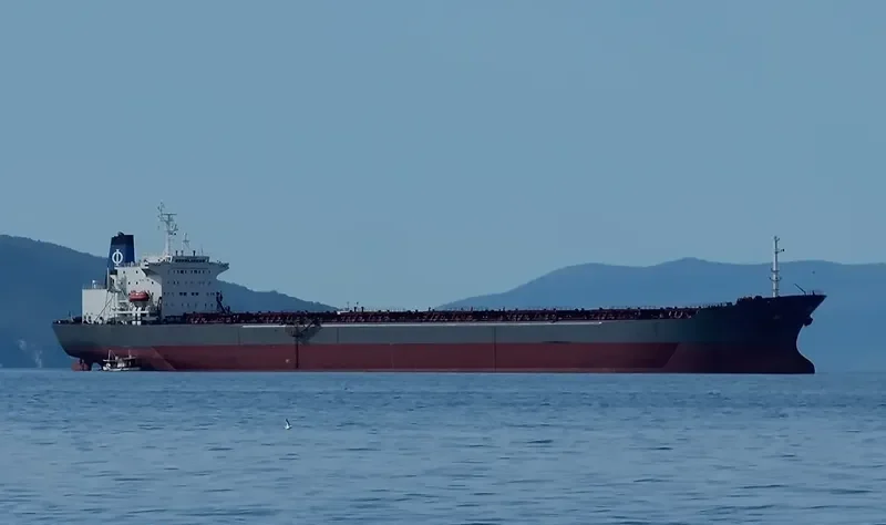 DESPINA Bulk Carrier IMO 9034339 photo 3