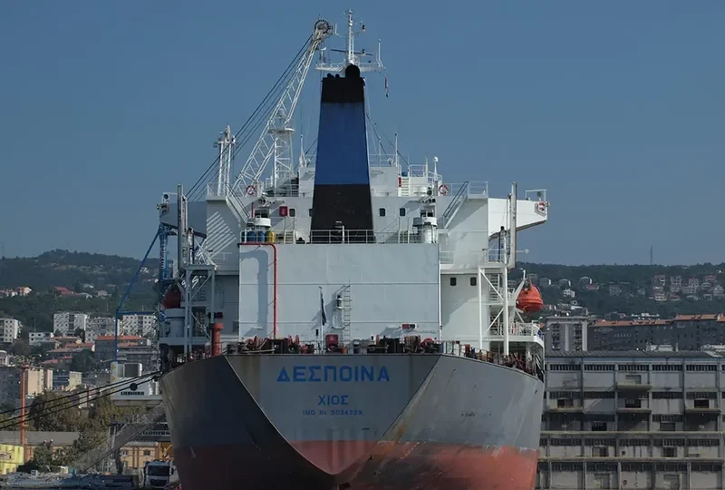 DESPINA Bulk Carrier IMO 9034339 photo 4