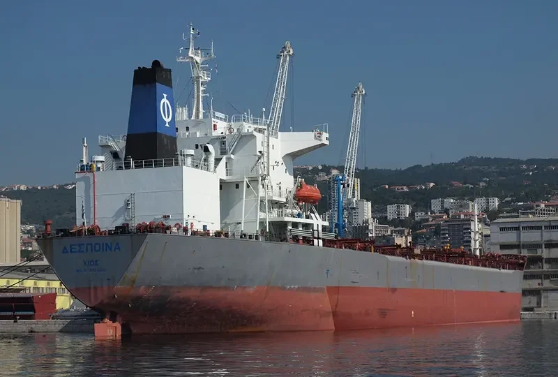 DESPINA Bulk Carrier IMO 9034339 photo 5