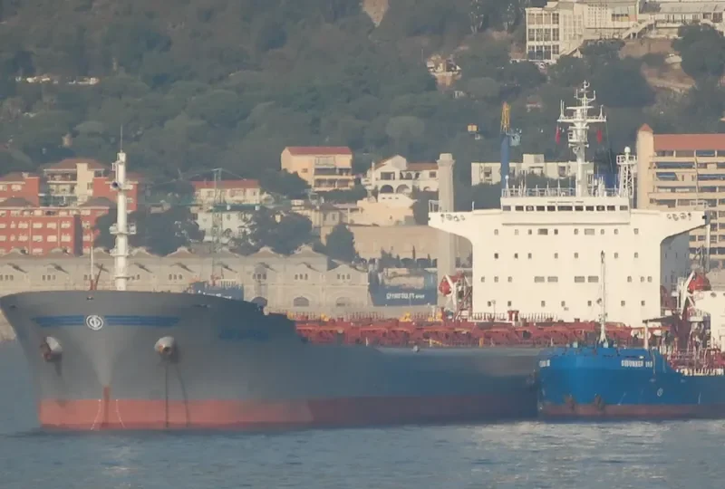 DESPINA Bulk Carrier IMO 9034339 photo 8