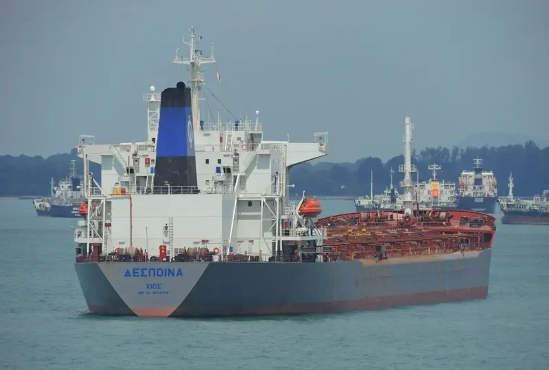 DESPINA Bulk Carrier IMO 9034339 photo 9