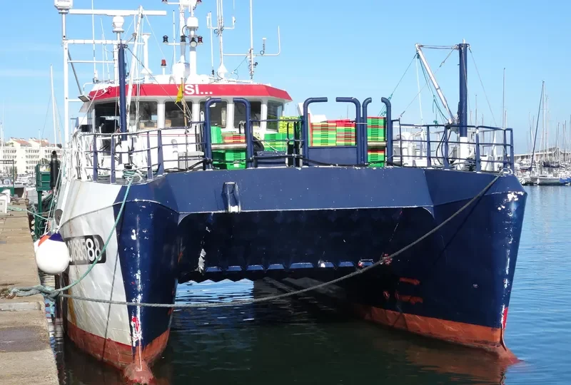 SI General Cargo IMO 9034365