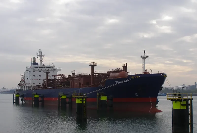 SALMON MUSTAFA General Cargo IMO 9034717 photo 3