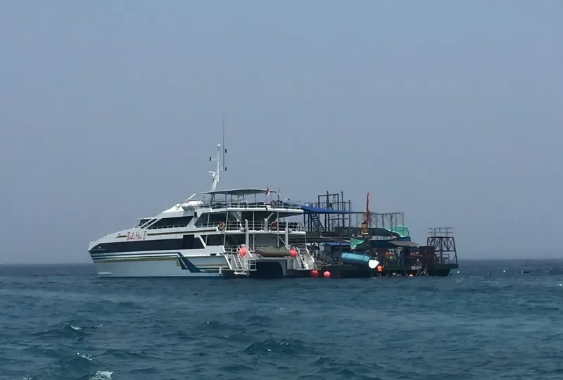 BALI HAI II General Cargo IMO 9034884 photo 2