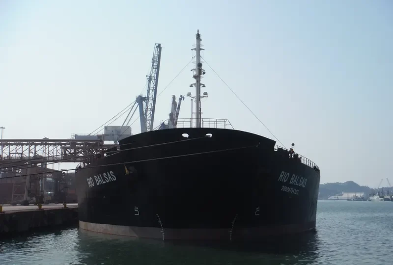RIO BALSAS Bulk Carrier IMO 9034925 photo 2