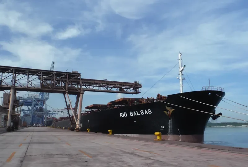 RIO BALSAS Bulk Carrier IMO 9034925 photo 3
