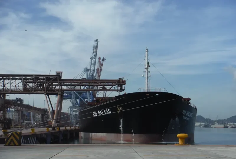 RIO BALSAS Bulk Carrier IMO 9034925 photo 4