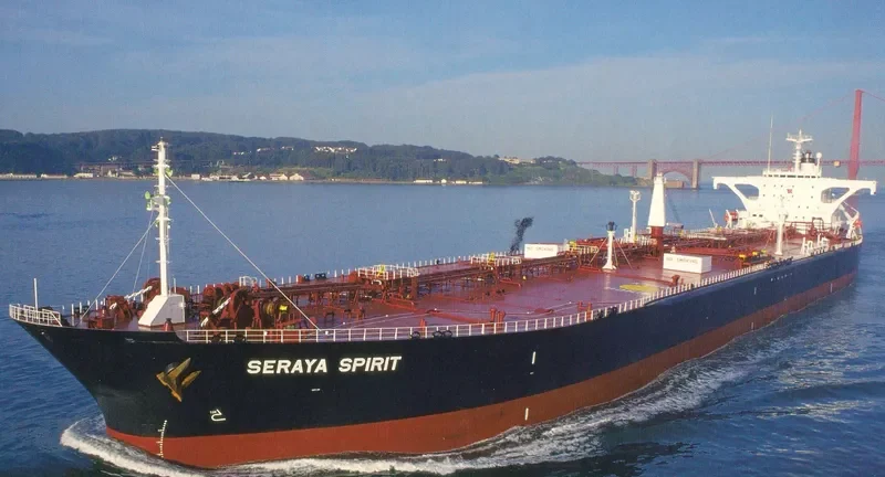 RIO BALSAS Bulk Carrier IMO 9034925 photo 5