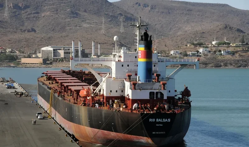 RIO BALSAS Bulk Carrier IMO 9034925 photo 9