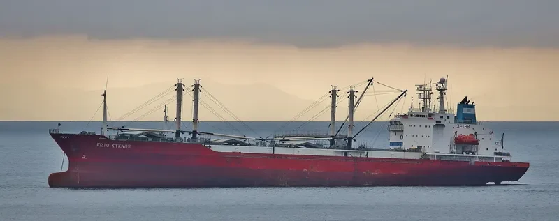 DON REEFER General Cargo IMO 9035072 photo 2