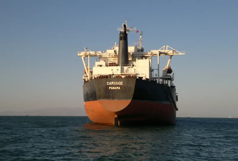 PSU THIRD Bulk Carrier IMO 9035230 photo 4