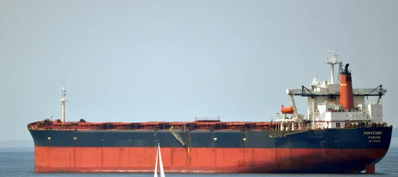 BORYEONG Bulk Carrier IMO 9035412
