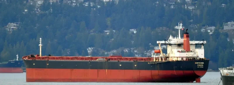 BORYEONG Bulk Carrier IMO 9035412 photo 5