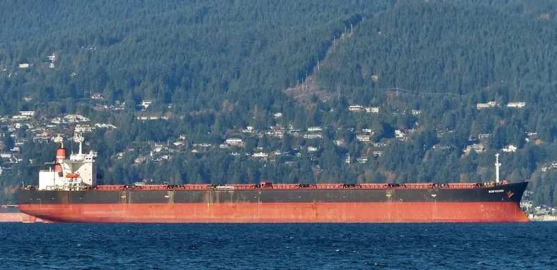 BORYEONG Bulk Carrier IMO 9035412 photo 8