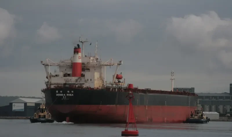 DONG A RHEA Bulk Carrier IMO 9035424 photo 2